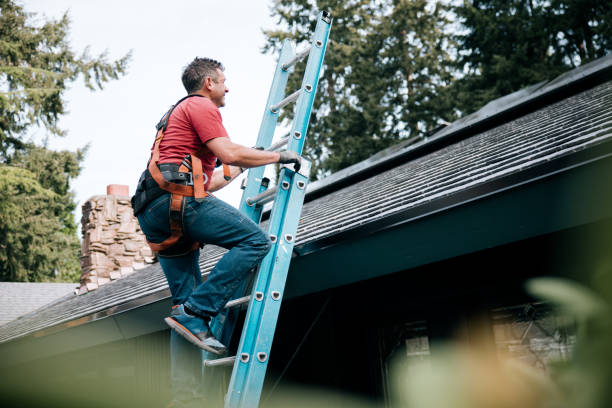 Best Roof Moss and Algae Removal  in Lucerne, CA
